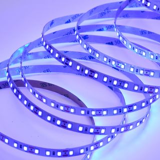 Светодиодная лента Standart-C DL-2835 120led 12V 9,6W IP20 Blue