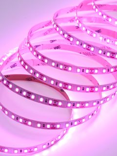 Светодиодная лента Standart-C DL-2835 120led 12V 9,6W IP20 Pink