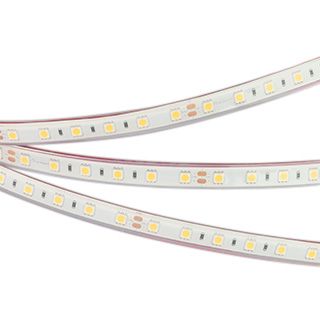 Светодиодная лента герметичная RTW-PFS-B60-13mm 24V Warm3000 (14.4 W/m, IP68, 5060, 5m)