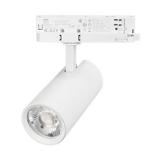 Светильник LGD-GERA-4TR-R74-20W Day4000 (WH, 24 deg, 230V) (Arlight, IP20 Металл, 5 лет)