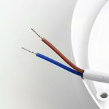e_48562.jpg