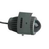 f_48498.jpg
