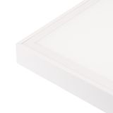 e_DL-04100-0028.jpg