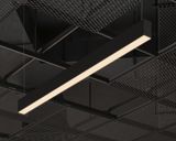 e_DL-05-0417.jpg