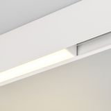 b_DL-12600-0304.jpg