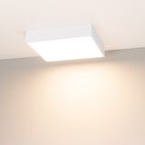 d_DL-12400-0483.jpg