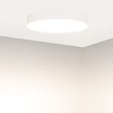 d_DL-12400-0201.jpg