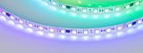 d_DL-06400-0005.jpg