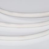 a_DL-06600-0007.jpg