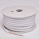 c_DL-03-0516.JPG