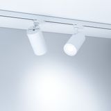 d_DL-12116-0011.jpg