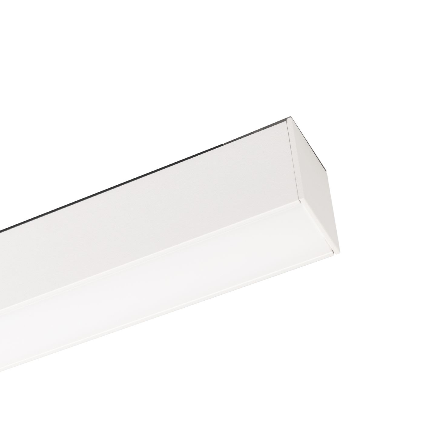 b_DL-12600-0301.jpg