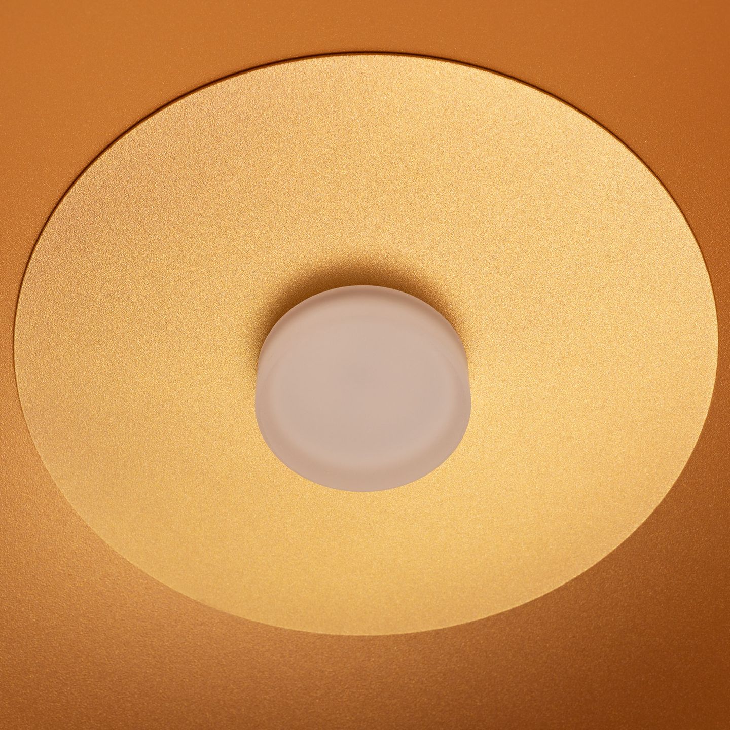 b_DL-12400-0498.jpg