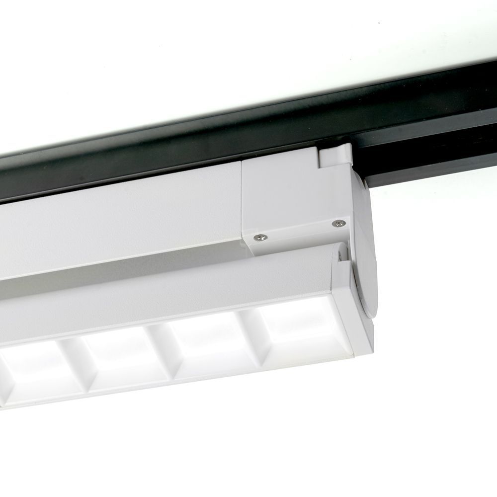 e_48377.jpg