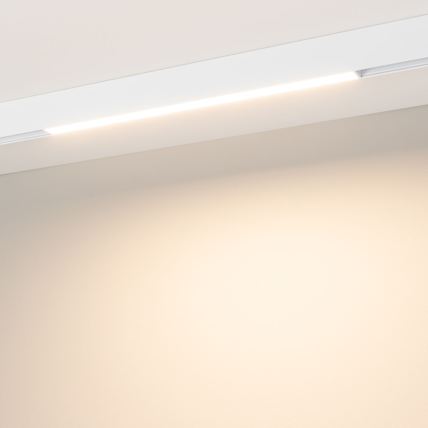 b_DL-12600-0505.jpg