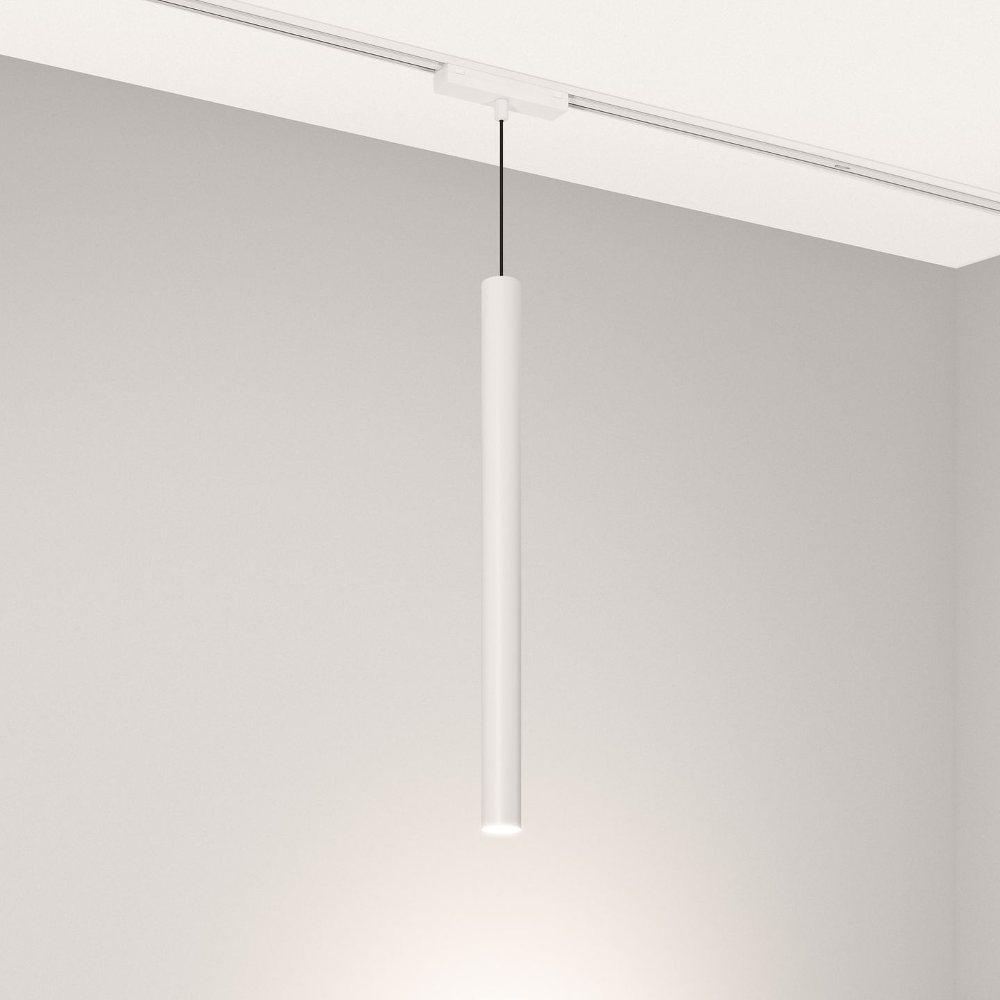 a_DL-12600-0823.jpg