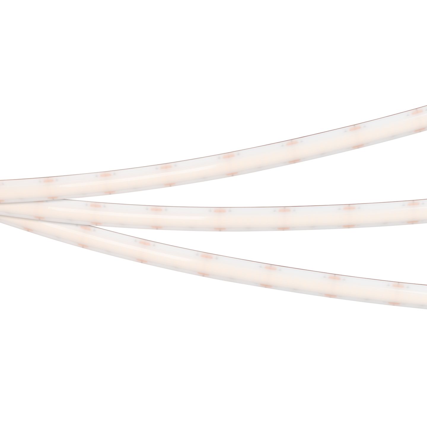 e_DL-06900-0519.jpg