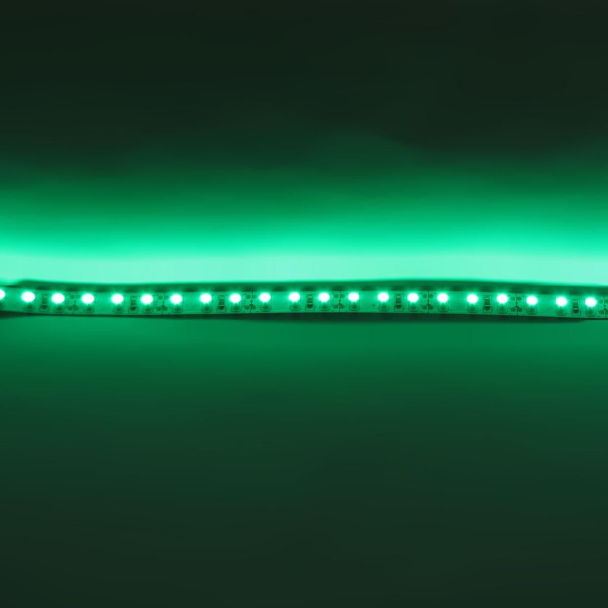 c_28024.jpg