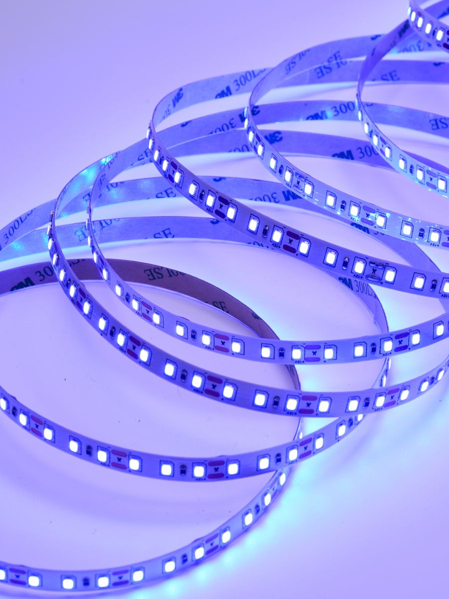 a_DL-06-1834.jpg